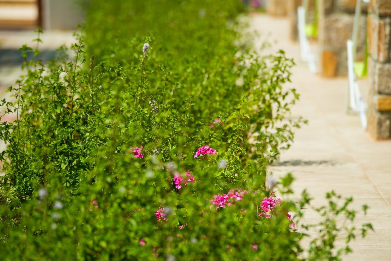 Olive Land Villas Limenaria  Bagian luar foto